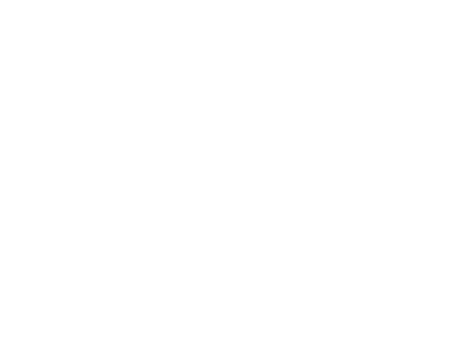 elbis style